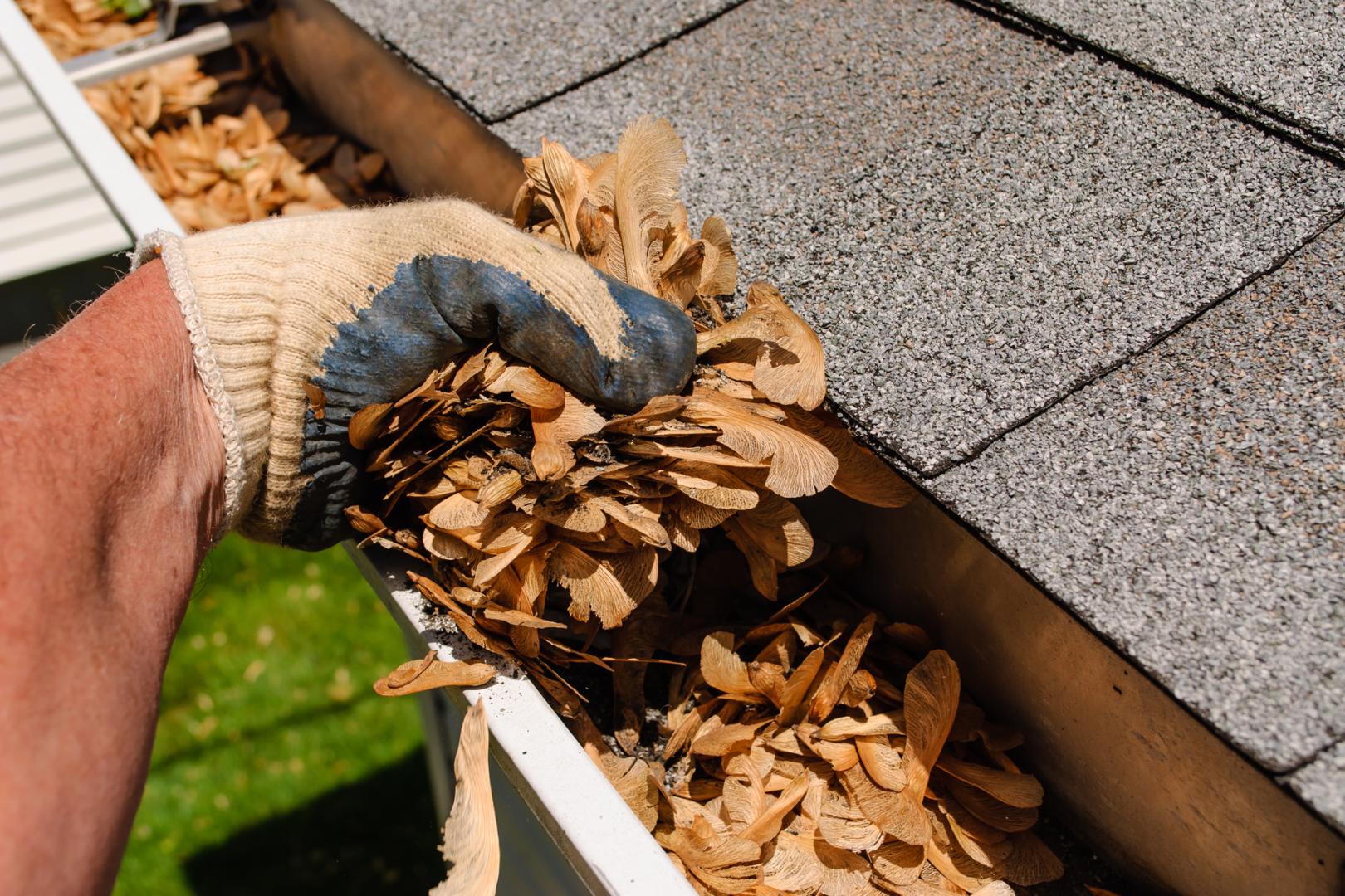 Gutters Cleaning and Maintenance Tips