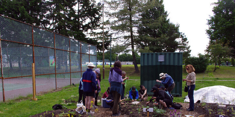 Fruit Trees That Can Be Grown in Containers