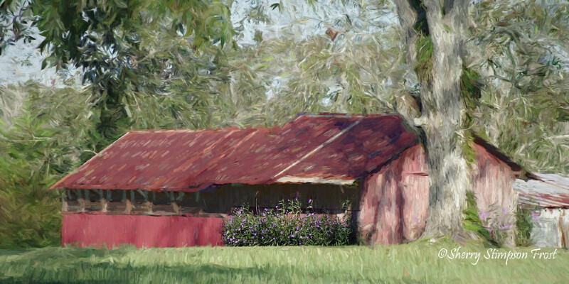 Hybrid Grass Seed for a Partial Shade Yard